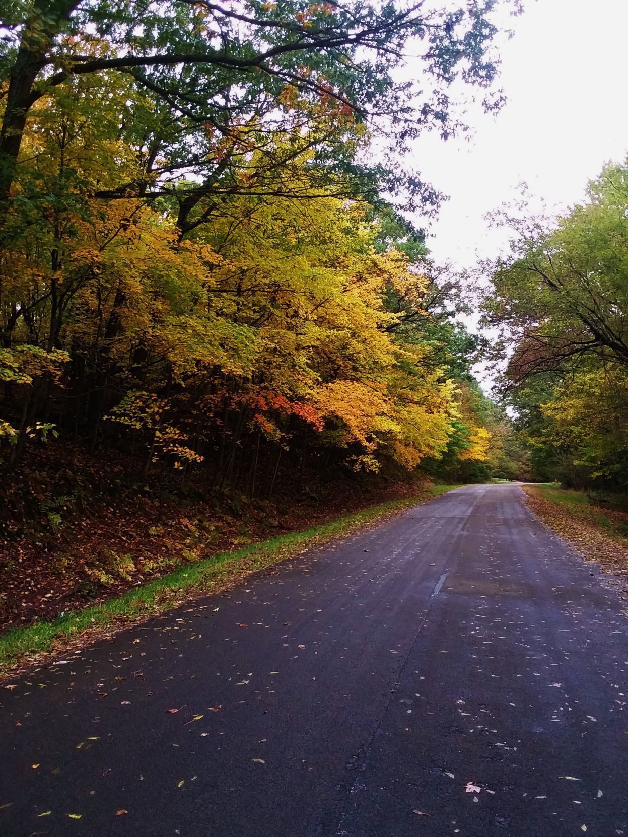 Road to farmhouse